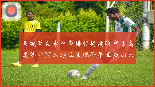 关键时刻命中率排行榜揭晓申京高居第六阿夫迪亚表现平平亚历山大与康宁汉姆紧随其后