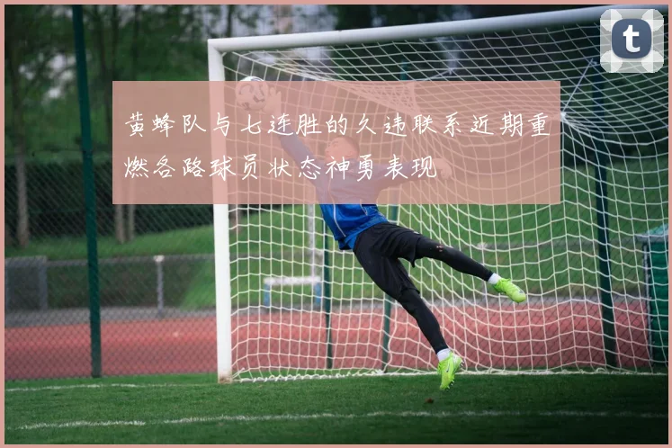 黄蜂队与七连胜的久违联系近期重燃各路球员状态神勇表现