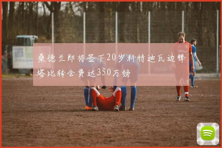 桑德兰即将签下20岁科特迪瓦边锋塔比转会费达350万镑